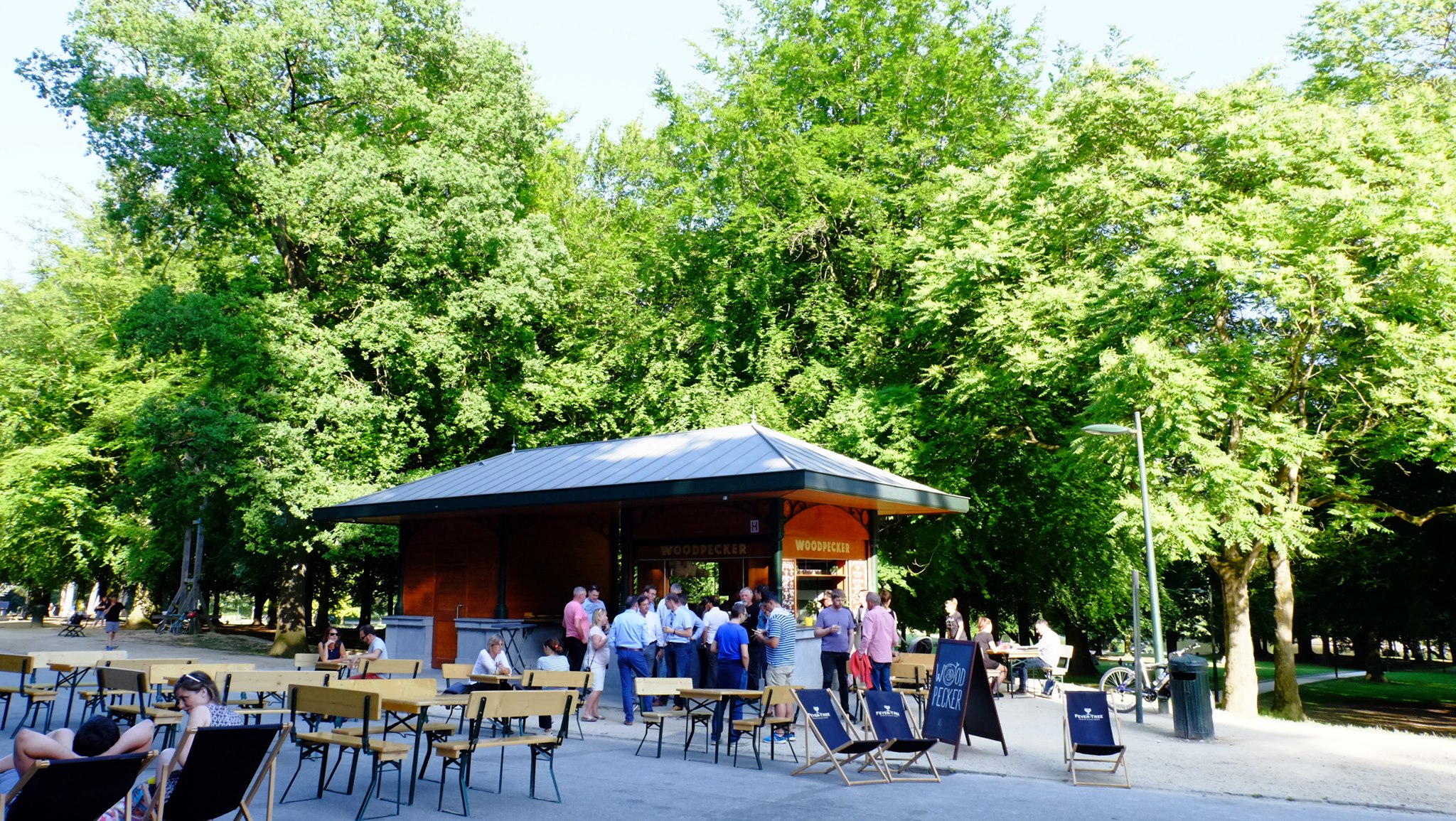 Bois de la Cambre – Woodpecker Family